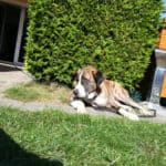 2019_juana_2