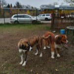 2019_juana_6