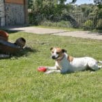 2021_maggie_07