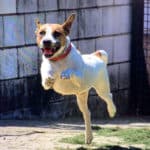 2021_maggie_09