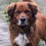 2021_ralph_01