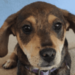 2022_charley_01