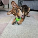 2022_charley_09