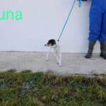 2023_duna_07