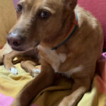 2024-chico_02
