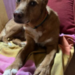 2024-chico_03