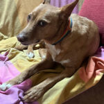 2024-chico_04
