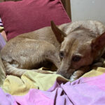 2024-chico_05