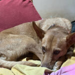 2024-chico_06