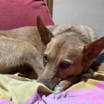2024-chico_07
