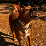 2024-chico_09