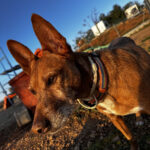 2024-chico_11