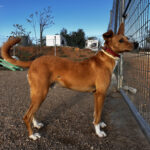 2024-romeo_06