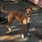 2024-romeo_08