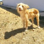 2024_fito_03