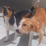 2024_greta&sohn_01