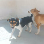 2024_greta&sohn_08