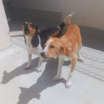 2024_greta&sohn_09
