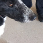 2025-shiva_02 2025-shiva_02