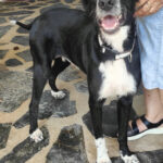 2025-shiva_05 2025-shiva_05