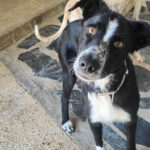 2025-shiva_06 2025-shiva_06