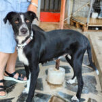 2025-shiva_07 2025-shiva_07