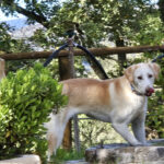 2025_bimba_03