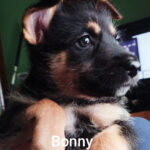 2025_bonny_03