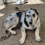 2025_nepolitana_04 2025_nepolitana_04