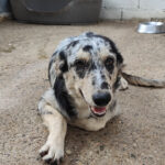 2025_nepolitana_06 2025_nepolitana_06