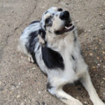 2025_nepolitana_07 2025_nepolitana_07