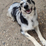 2025_nepolitana_08 2025_nepolitana_08