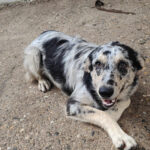 2025_nepolitana_09 2025_nepolitana_09