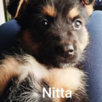 2025_nitta_03