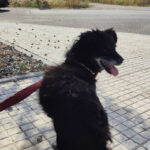 2025_violetta_02 2025_violetta_02