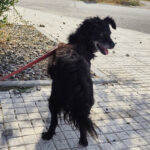 2025_violetta_04 2025_violetta_04