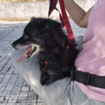 2025_violetta_05 2025_violetta_05