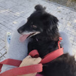 2025_violetta_06 2025_violetta_06