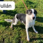 2026-julian_02