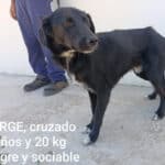 2026_jorge_02