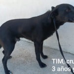 2026_tim_02